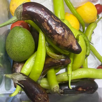 Yeni Alınan Buzdolabı Soğutmuyor Ve Güvensizlik Yaratıyor