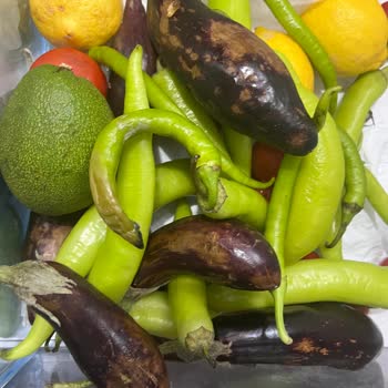 Yeni Alınan Buzdolabı Soğutmuyor Ve Güvensizlik Yaratıyor