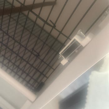 İstanbul Kafes'ten Aldığım Kusurlu Ürün Ve İlgisizlik