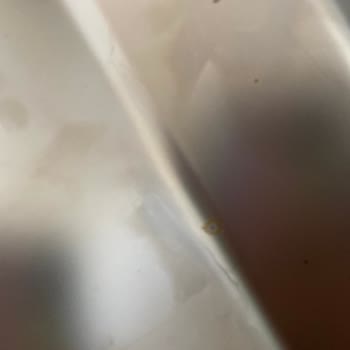 Yeni Alınan Bulaşık Makinesinde Paslanma Sorunu Ve Yetersiz Çözüm