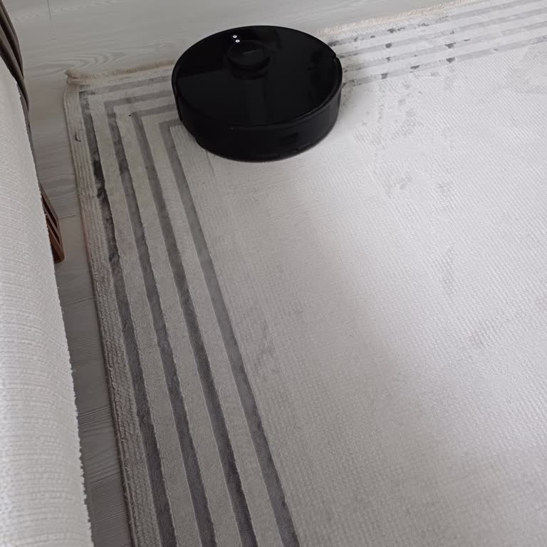 Xiaomi XS Robot Süpürge Tozları Süpürmüyor