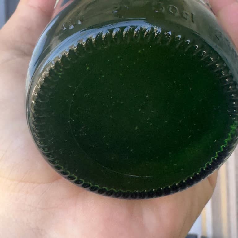 Carlsberg Şişesinde Gizemli Tanecikler