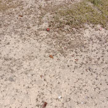 Arsuz Belediyesi Çocuk Parkında Güvenlik Tehlikesi!