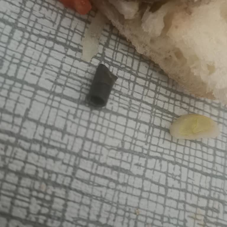 Sayrem'de Güvenlik Tehlikesi: Gobit Dönerde Demir Parçası Şoku!