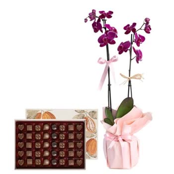 Eksik Gönderilen Gurme Lezzetler