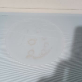 Bosch Ocak Üzerinde Geçmeyen Lekelerle Mücadele