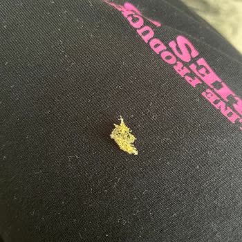 Lokum Atölyesi Lokum Aşkı Ürününden Sünger Çıktı!