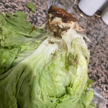 Migros'tan Gelen Ürünlerde Kontrol Eksikliği
