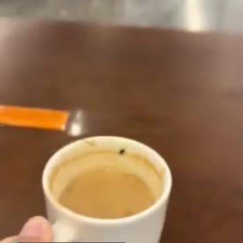 Penguen Kitabevi Kahveden Sinek Çıktı