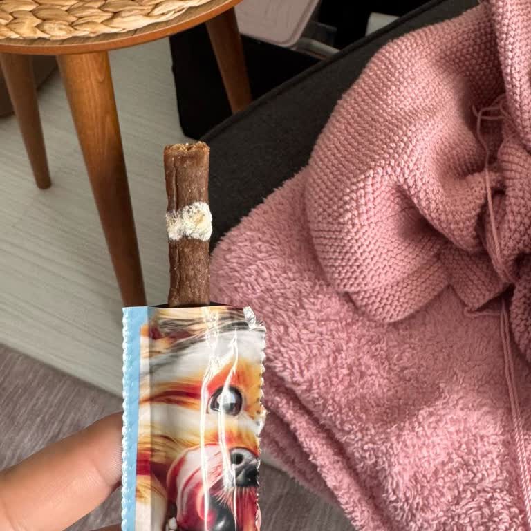 Küflü Köpek Maması Şoku: Acil Önlem Alınmalı