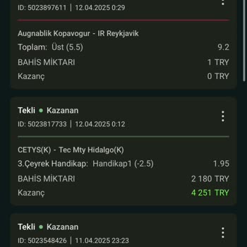 Basketbol Bahsinde Çekim Sorunu Ve Hesap Silinmesi