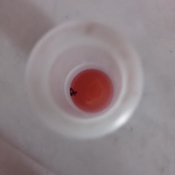 Çocuk Sağlığını Tehdit Eden İçecek Skandalı