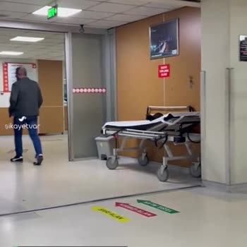 İzmit Seka Devlet Hastanesi Acil Serviste Kedi