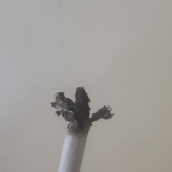 Parliament Sigara Kalitesinde Düşüş: Mide Yanması Ve Nemli Tütün Sorunu