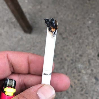 Parliament Sigara Kalitesinde Düşüş: Mide Yanması Ve Nemli Tütün Sorunu