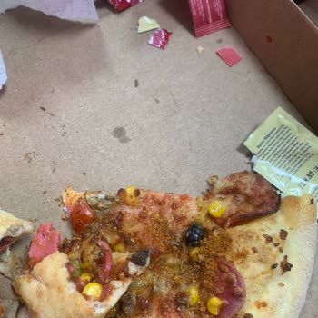 Domino's Pizza Siparişimden Çıkan Böcek Şoku