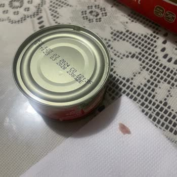 Ton Balığında Kılçık Ve Yüzgeç Parçası Şoku