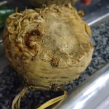 Migros Hemen'den Gelen Çürük Sebzeler Ve İletişim Sorunu