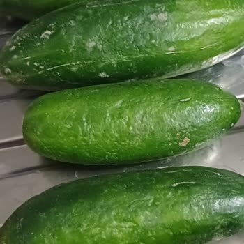 Migros Hemen'den Gelen Çürük Sebzeler Ve İletişim Sorunu