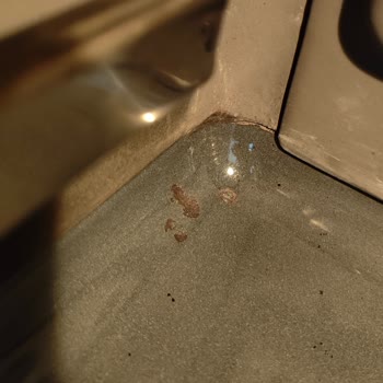 Garanti Kapsamındaki Bosch Fırında Paslanma Sorunu