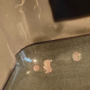 Garanti Kapsamındaki Bosch Fırında Paslanma Sorunu