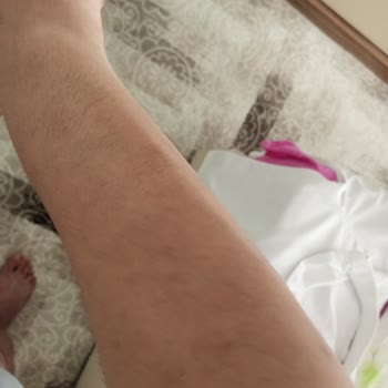 Bercislina'da Hayal Kırıklığı: Beklenen Sonuç Alınamadı