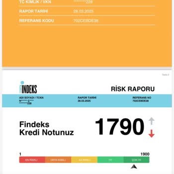 Findeks Notum Neden Düşüyor?