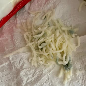 Bahçıvan Taze Olmayan Mozerella: Tarihi Geçmemiş Küflü Peynir