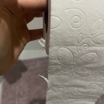 Solo Tuvalet Kağıdı Ruloları Sürekli Parçalanıyor