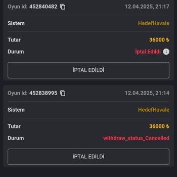 Yatırımcı Murat'ın Cevapsız Kalan Çekim Talebi Ve Güven Sorunu