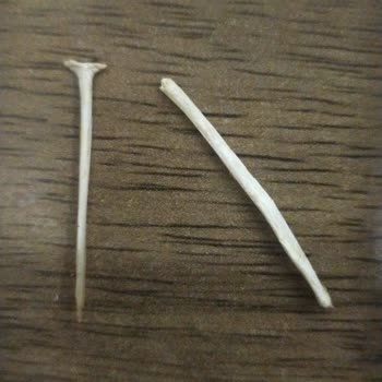 Ton Balıklı Makarna İçinde Tehlikeli Cisimler