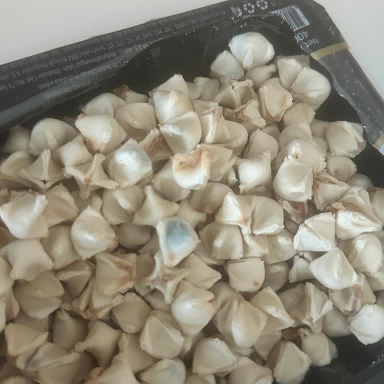 Küflü Mantı Şoku: Kontrolsüz Ürünler Satışta!