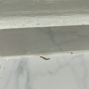 Mardin'de Kâbus Gibi Tatil: Emlakçının Verdiği Sözler Ve Gerçekler