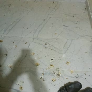 Mardin'de Kâbus Gibi Tatil: Emlakçının Verdiği Sözler Ve Gerçekler