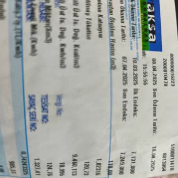 Doğalgaz Faturasında Gizemli Artış: Nasıl Hesaplanıyor?