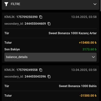 Hesabımda Yetkisiz İşlem Ve Kayıp