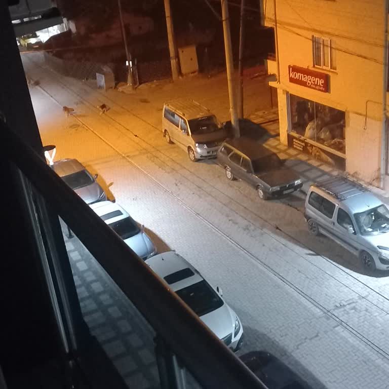 Saruhanlı'da Köpek Sorunu: Uyku Ve Güvenlik Tehlikede