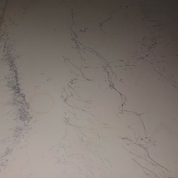 Dyo Hobilux Boya Soyulma Ve Lekelere Karşı Dayanıksız