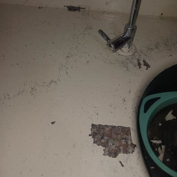 Dyo Hobilux Boya Soyulma Ve Lekelere Karşı Dayanıksız