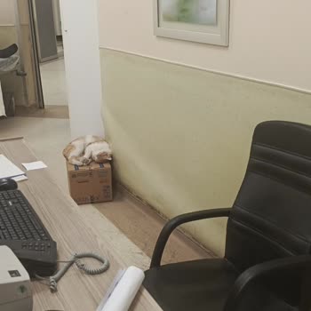 Gece Yarısı Acil Serviste Doktor Eksikliği