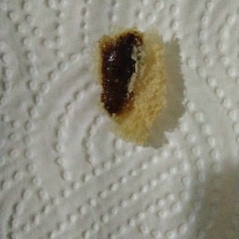 İstanbul Halk Ekmek Glutensiz Ekmekte Şok: Hamam Böceği Skandalı!