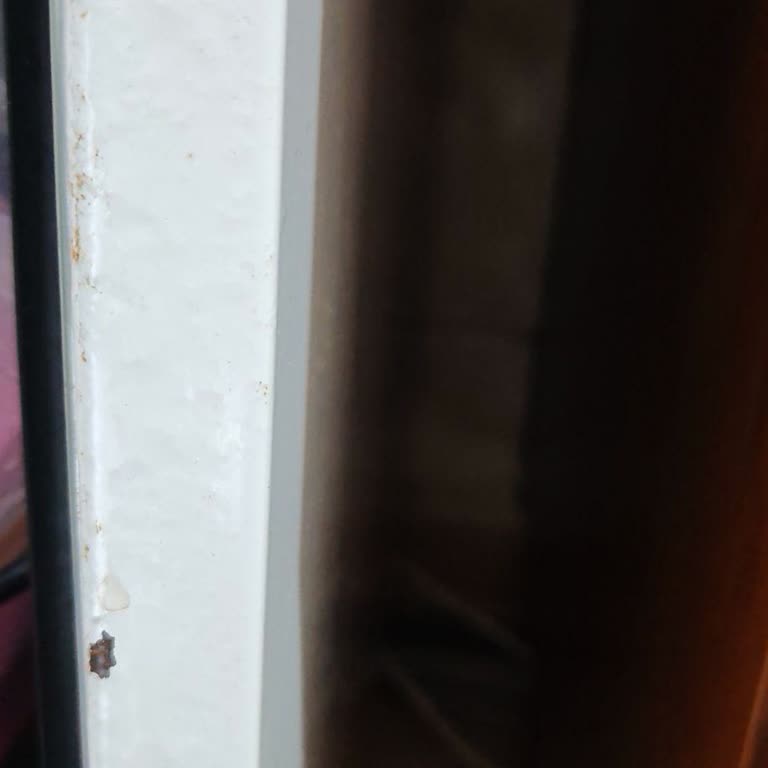 Vestel Bulaşık Makinesi Boya Kabarması Sorunu