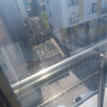 Albert Genau Bayisinde Hayal Kırıklığı: Lekeli Camlar