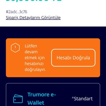 Kimlik Doğrulama Sorunu: Ödeme Yapmak İçin Mücadele