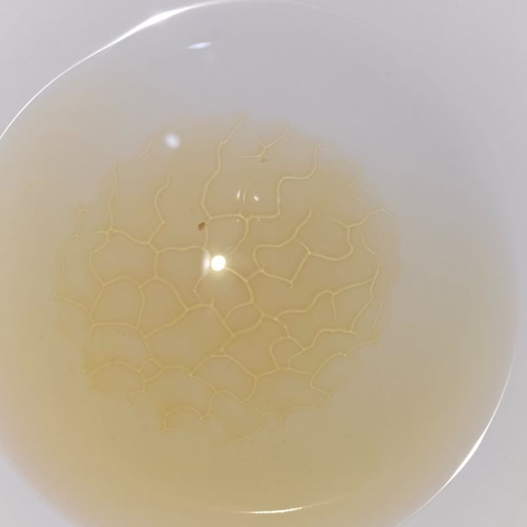 ovacikdogal.com Aldatmaca: Gerçekten Yazık!