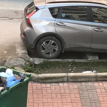 Yanlış Park Edilen Araç Yüzünden Alınamayan Çöp Konteyneri