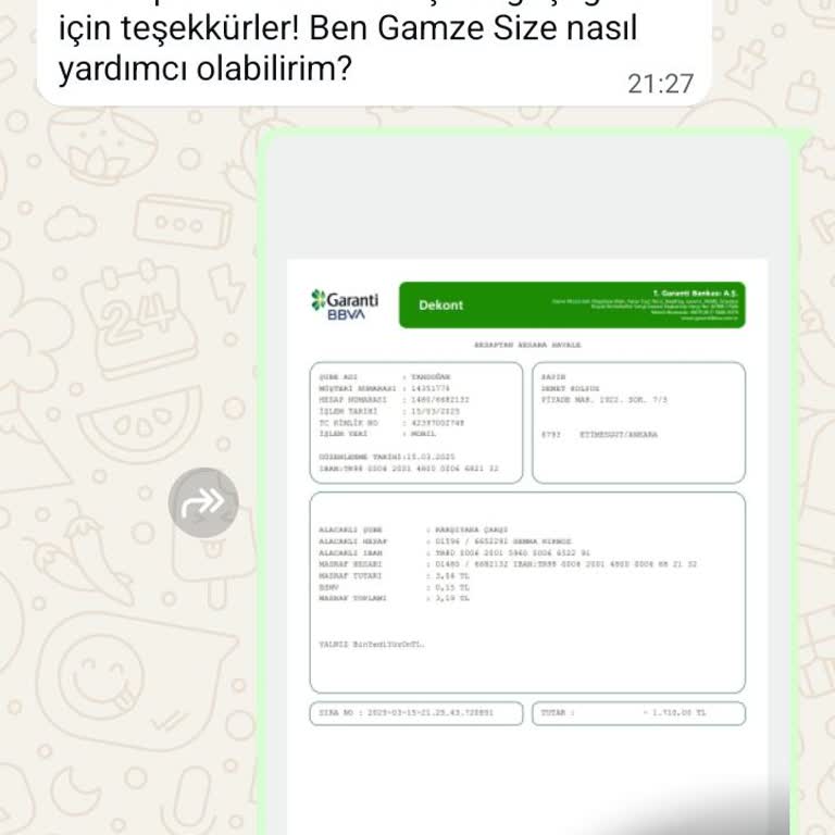 Kedi Maması Siparişim Neden Teslim Edilmiyor?