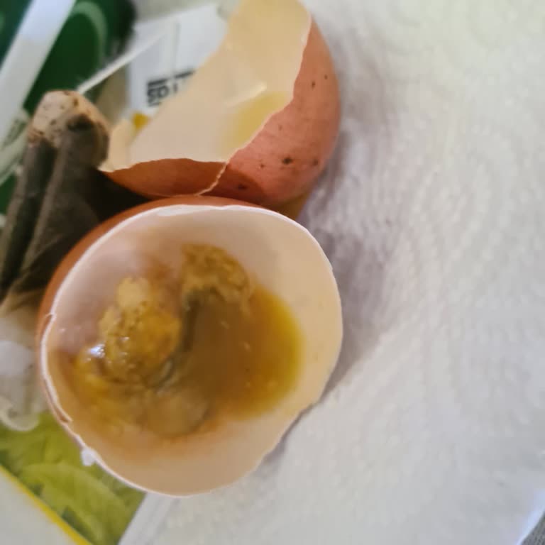 Harras Organik Yumurta Kalitesizliği Şaşırttı