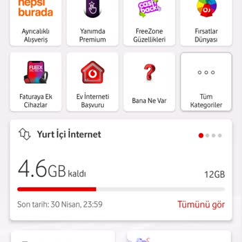Hediye İnternetin Kullanımıyla Ana İnternetin Tüketilmesi Sorunu