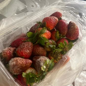 Yanlış Ve Küflü Ürünler Teslim Edildi